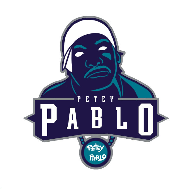 Charlotte Hornets Pablo Logo fabric transfer